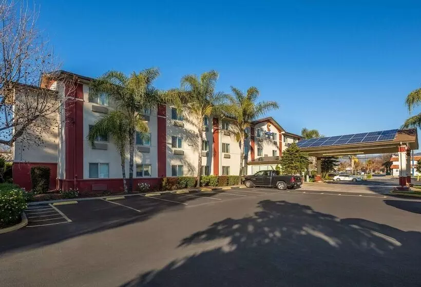 汽车旅馆  Comfort Inn Gilroy