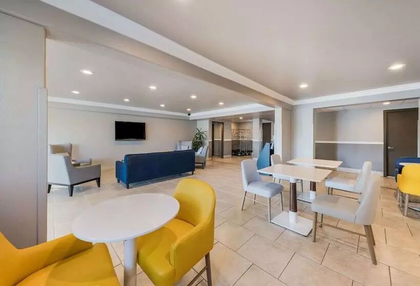 汽车旅馆  Comfort Inn Gilroy