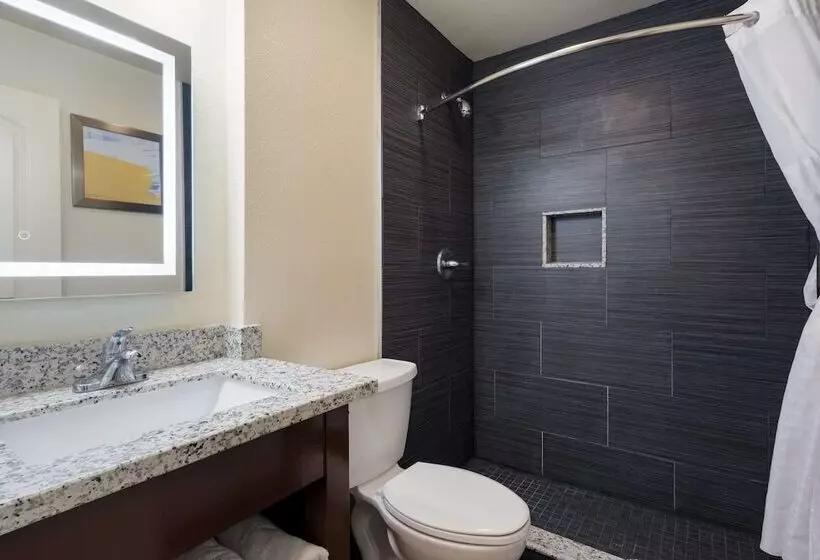 汽车旅馆  Comfort Inn Gilroy