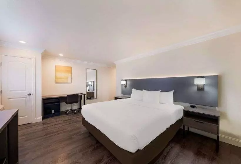 汽车旅馆  Comfort Inn Gilroy