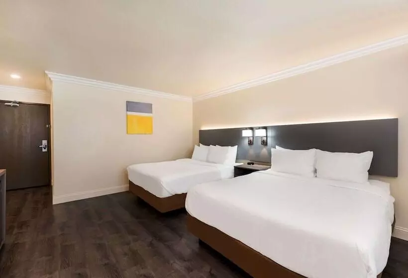 汽车旅馆  Comfort Inn Gilroy