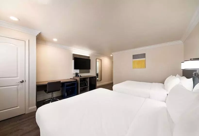 汽车旅馆  Comfort Inn Gilroy