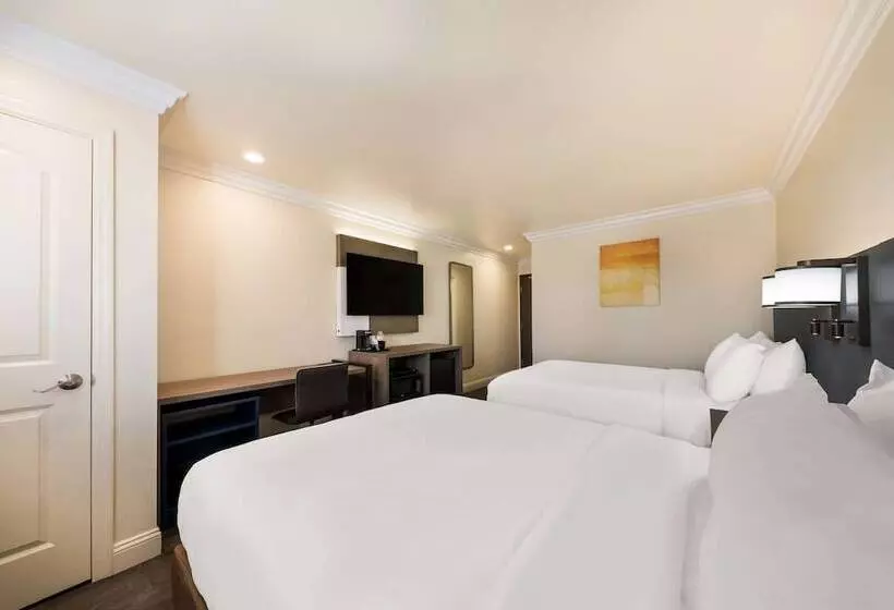 汽车旅馆  Comfort Inn Gilroy