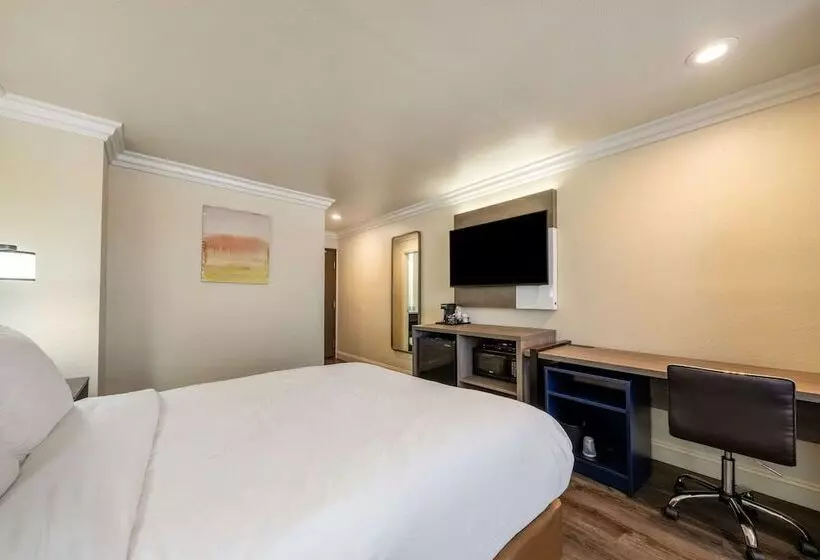 汽车旅馆  Comfort Inn Gilroy