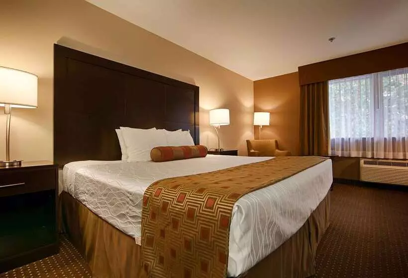 ホテル Best Western Inn Of Vancouver