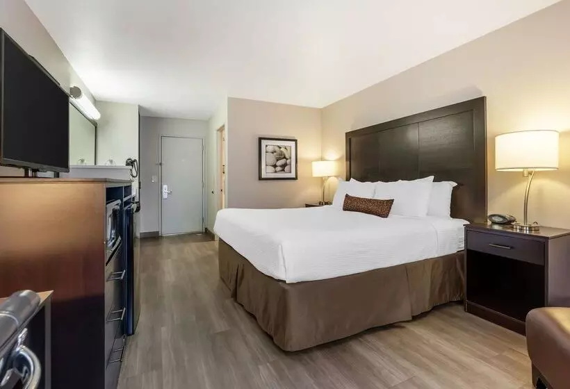 ホテル Best Western Inn Of Vancouver