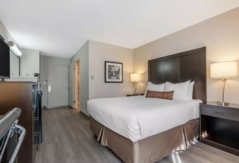 ホテル Best Western Inn Of Vancouver