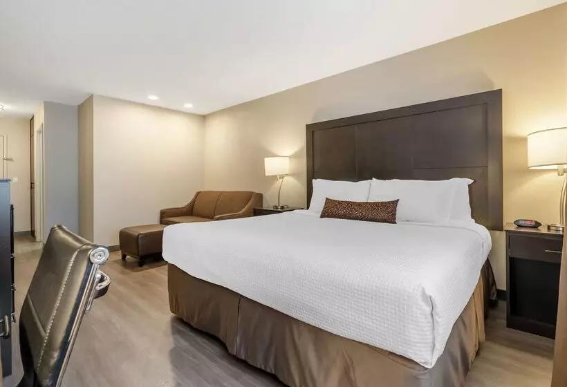 ホテル Best Western Inn Of Vancouver