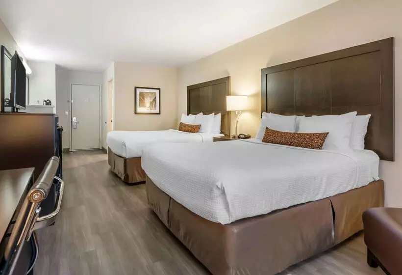 ホテル Best Western Inn Of Vancouver