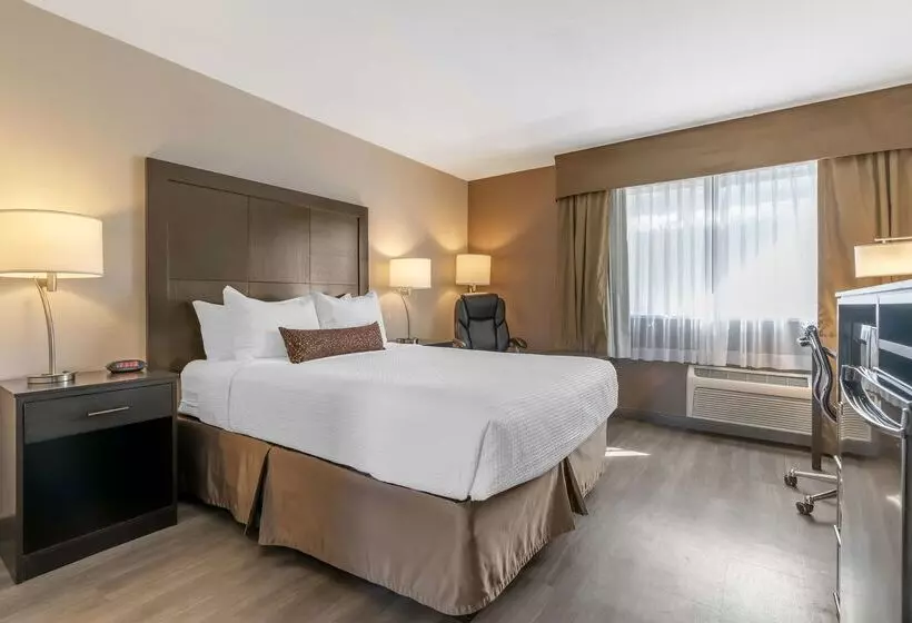 ホテル Best Western Inn Of Vancouver