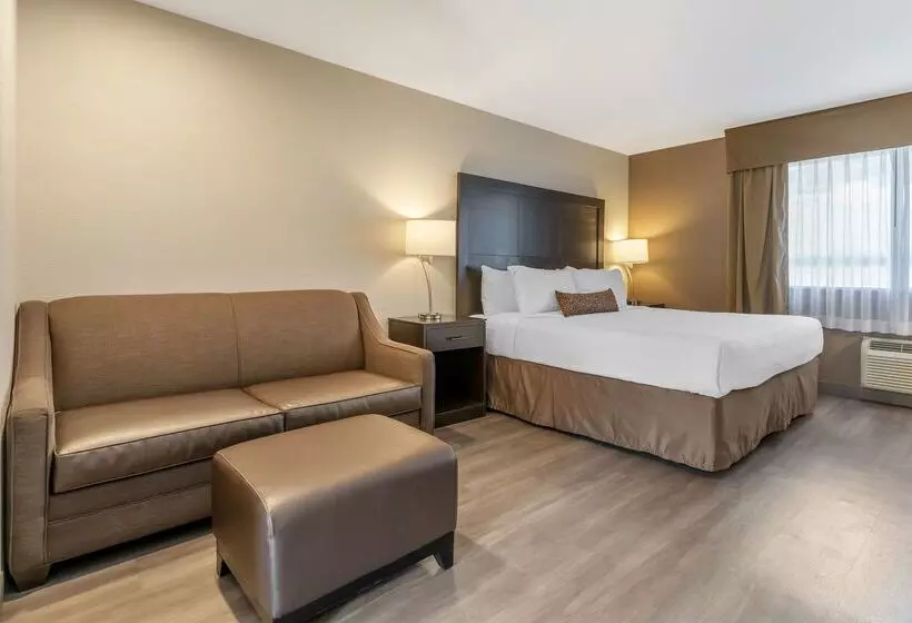 ホテル Best Western Inn Of Vancouver