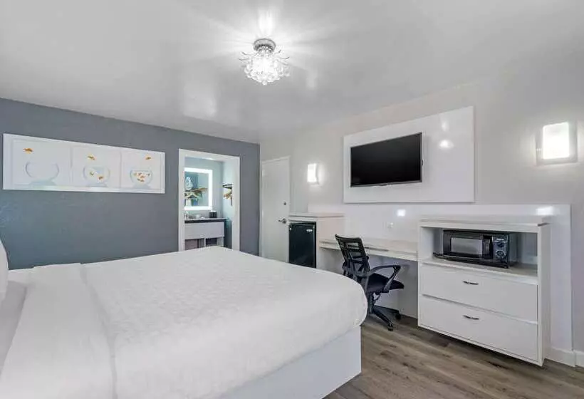 ホテル Quality Inn And Conference Center Tampabrandon