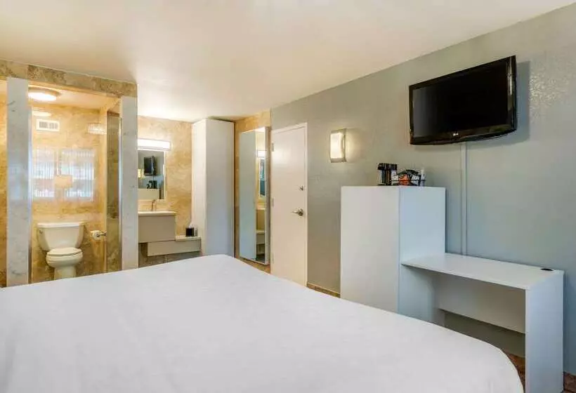 ホテル Quality Inn And Conference Center Tampabrandon