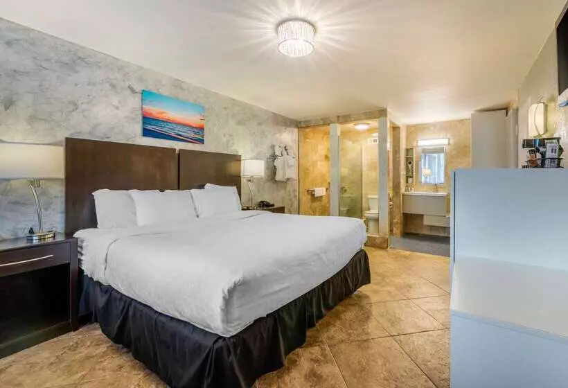 ホテル Quality Inn And Conference Center Tampabrandon