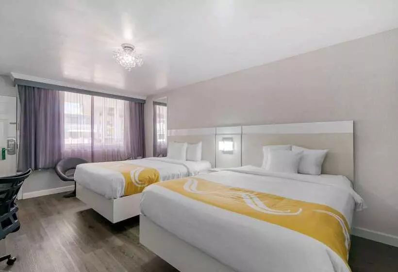 ホテル Quality Inn And Conference Center Tampabrandon