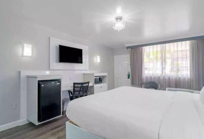 ホテル Quality Inn And Conference Center Tampabrandon
