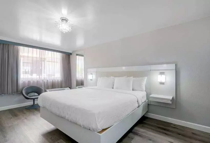 ホテル Quality Inn And Conference Center Tampabrandon
