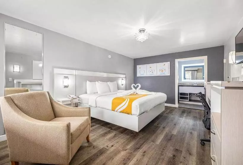 ホテル Quality Inn And Conference Center Tampabrandon