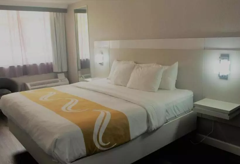 ホテル Quality Inn And Conference Center Tampabrandon