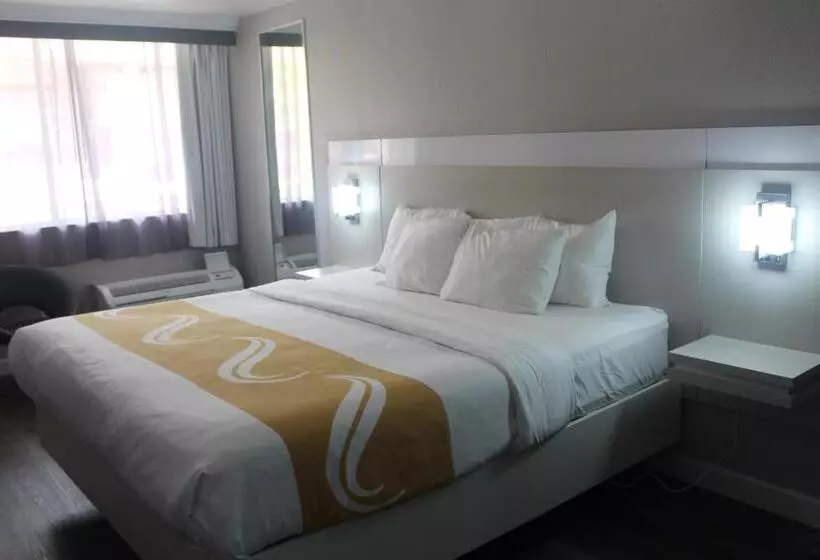 ホテル Quality Inn And Conference Center Tampabrandon