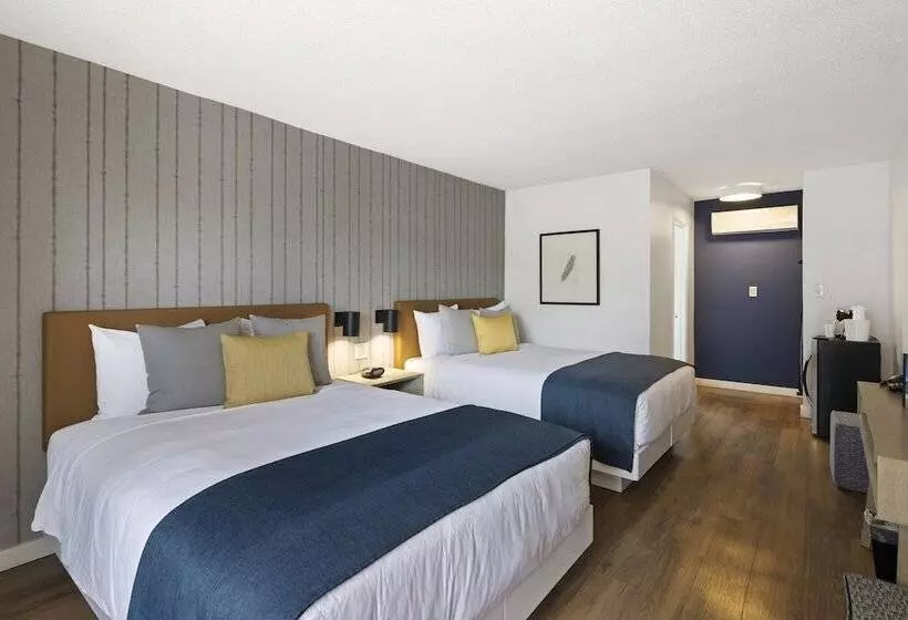 Sea Harbor Hotel   San Diego