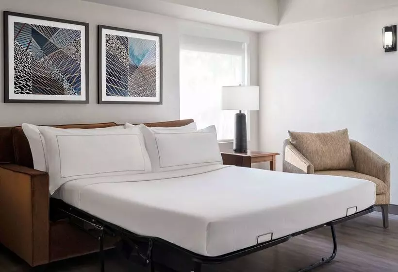 Hotel The Alloy King Of Prussia   A Doubletree By Hilton