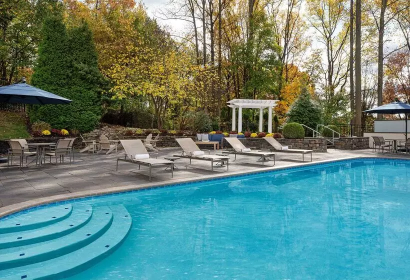 Hotel The Alloy King Of Prussia   A Doubletree By Hilton