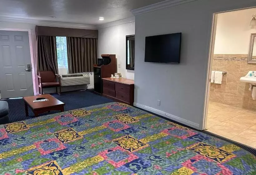 Отель Willow Tree Lodge