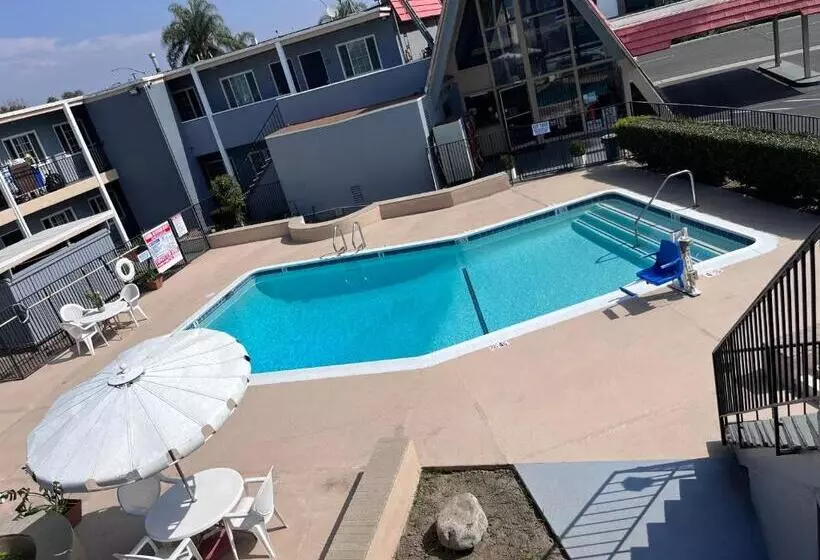 Отель Willow Tree Lodge