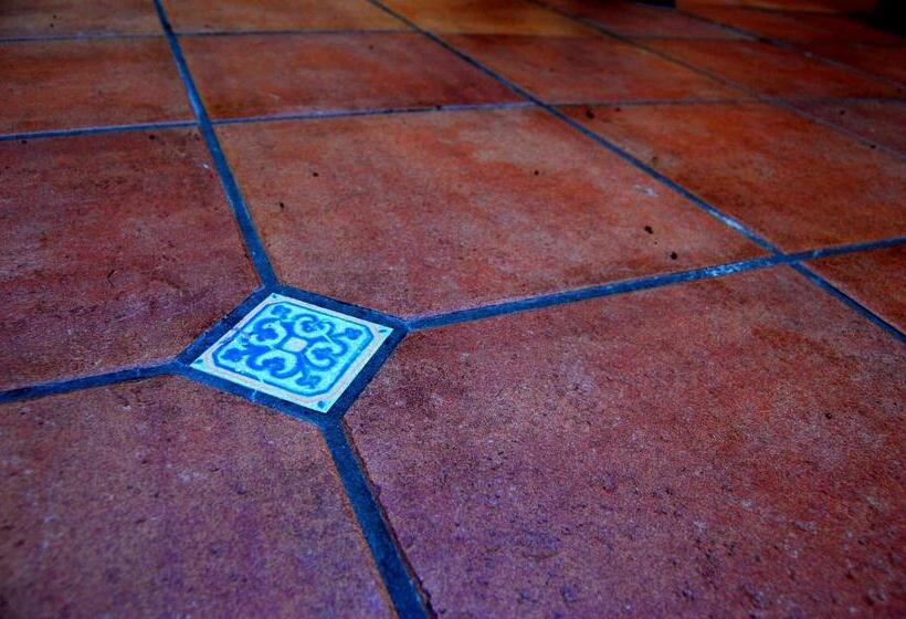 هتل Canario Boutique