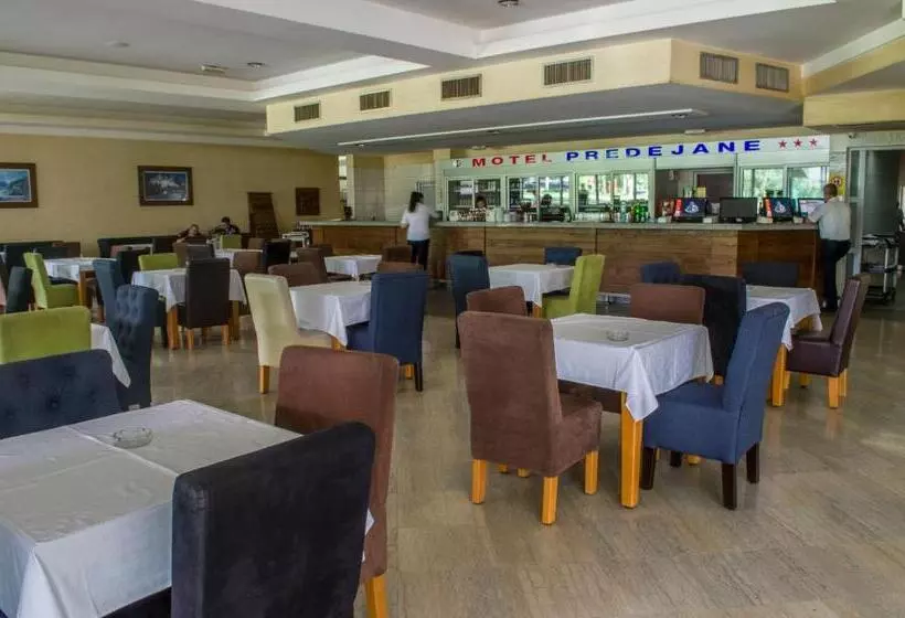 Motel Predejane