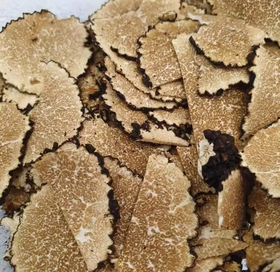 هتل De La Gaichel