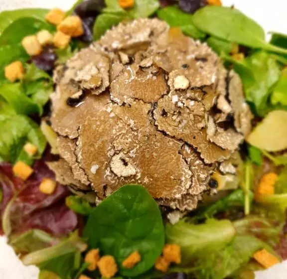 هتل De La Gaichel