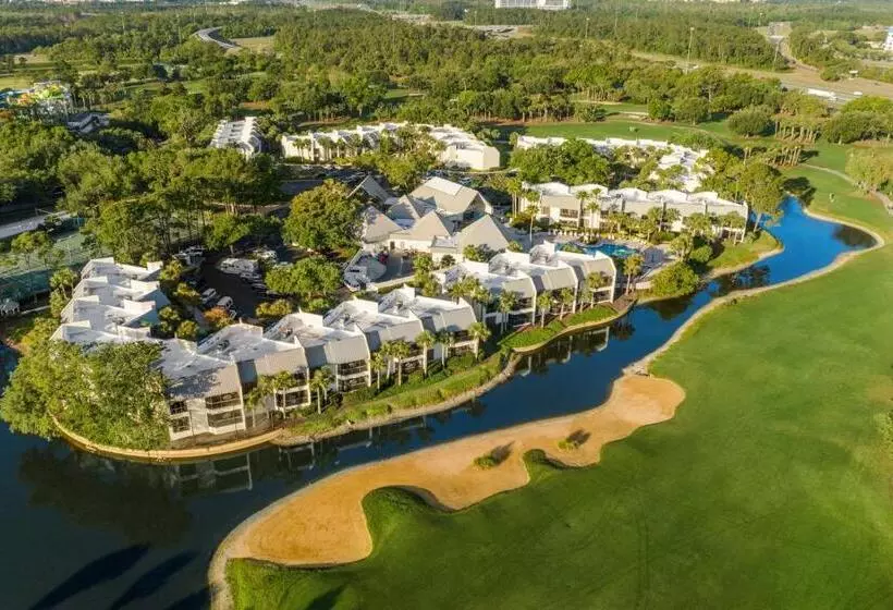 酒店 Marriott's Sabal Palms