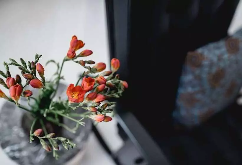 Small Luxury Hotel Altstadt Vienna