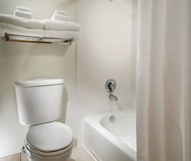 Hotel Staypineapple, University Inn, University District Seattle