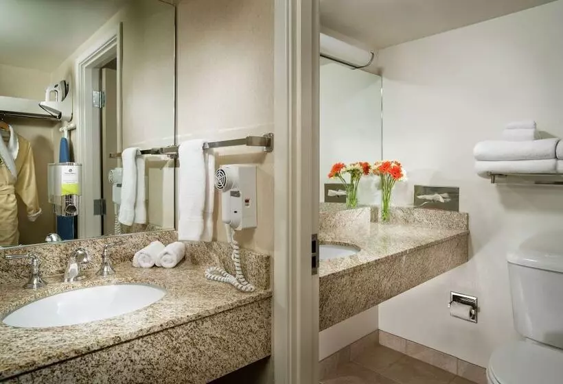 Hotel Staypineapple, University Inn, University District Seattle