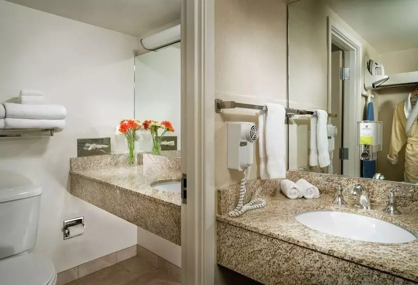 Hotel Staypineapple, University Inn, University District Seattle