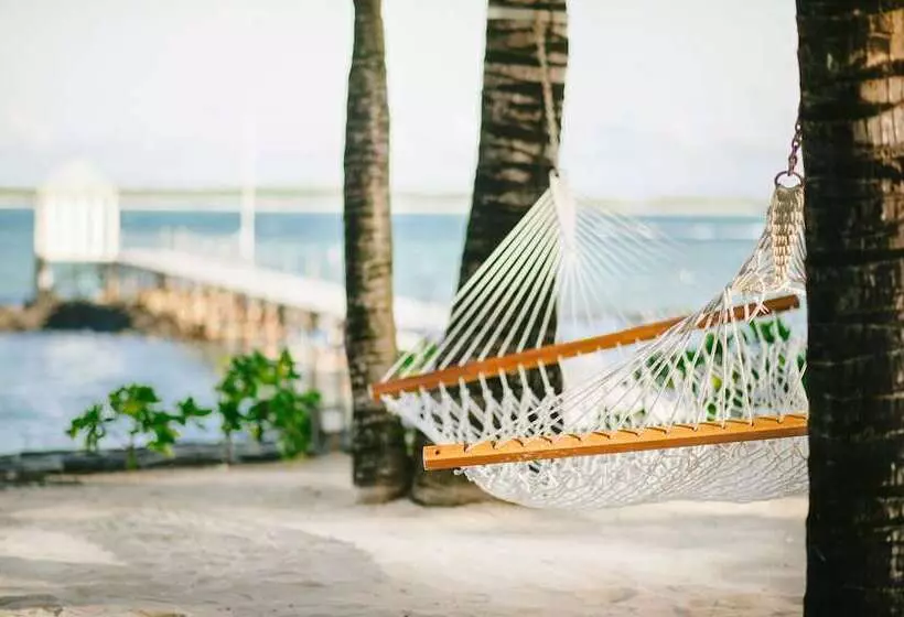 Hotel Tropical Attitude