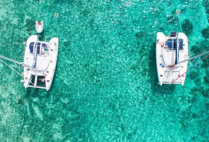 Hotel Tropical Attitude