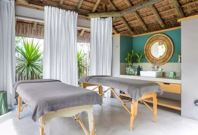 Hotel Tropical Attitude