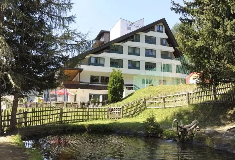 Kinder Und Familienhotel Nockalm