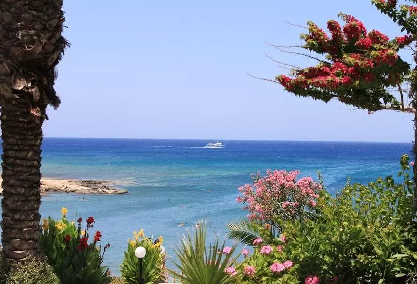 هتل Crystal Springs Beach