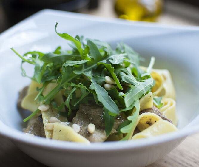 בית מלון כפרי Elektor Premium