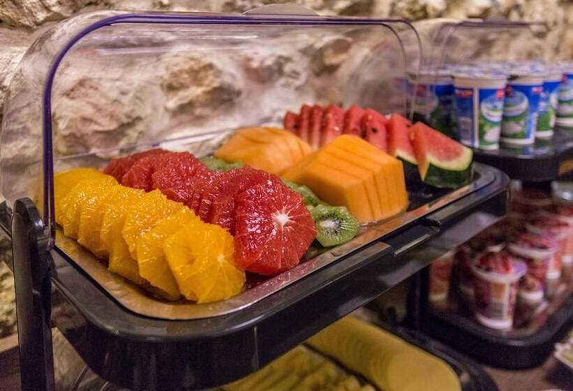 בית מלון כפרי Elektor Premium