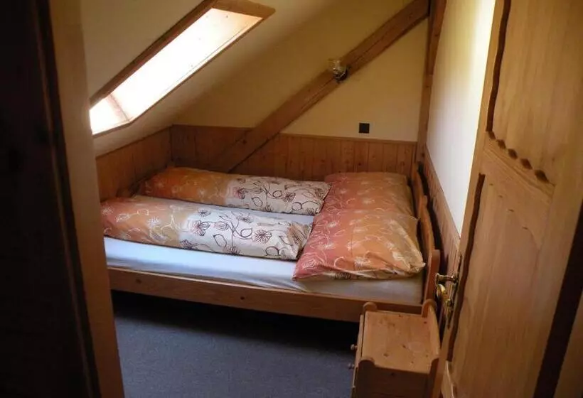 בית מלון כפרי Lesní Dům