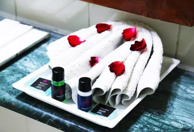 Hotel Springfields   A Heritage Palace Since 1902