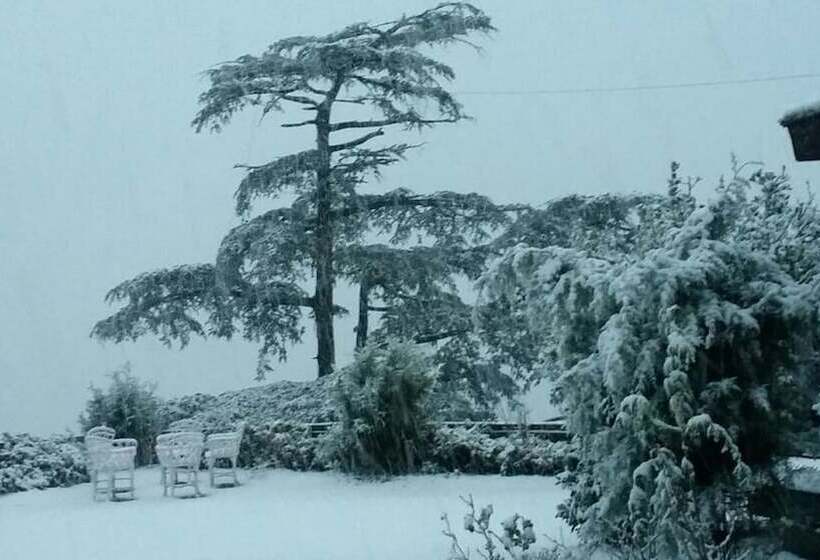 Hotel Springfields A Heritage Palace Since 1902