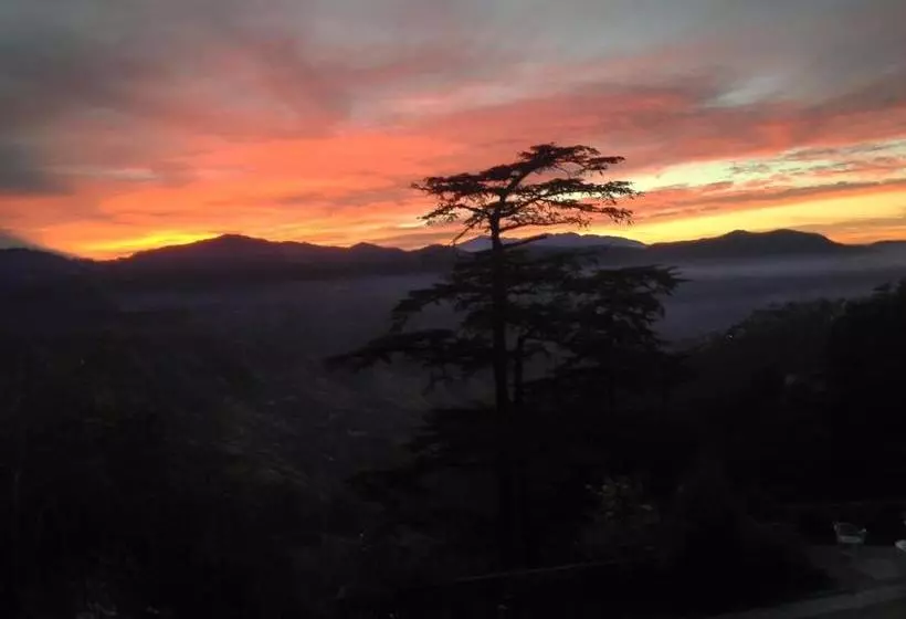 Hotel Springfields   A Heritage Palace Since 1902