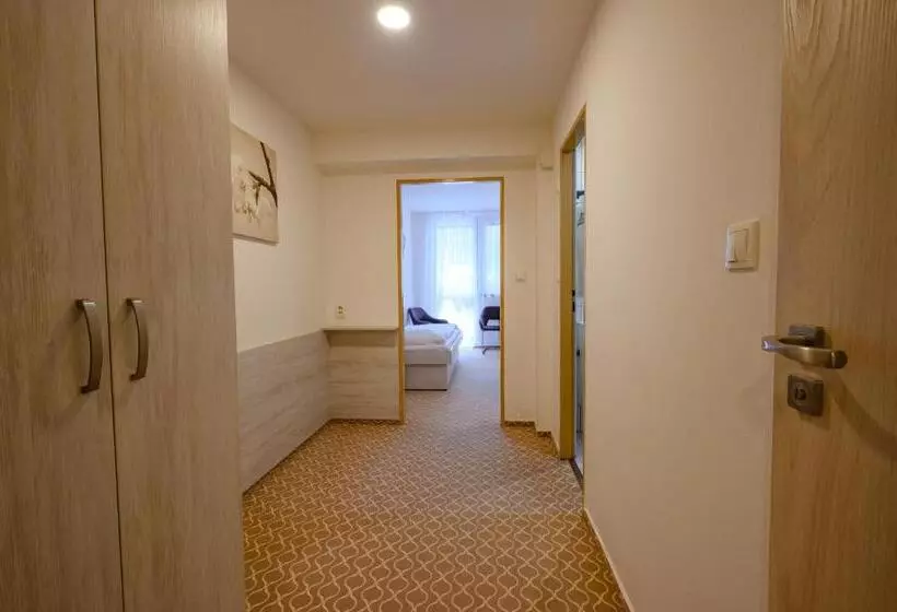 فندق Vega Luhacovice